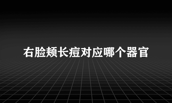 右脸颊长痘对应哪个器官