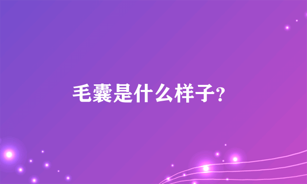 毛囊是什么样子？