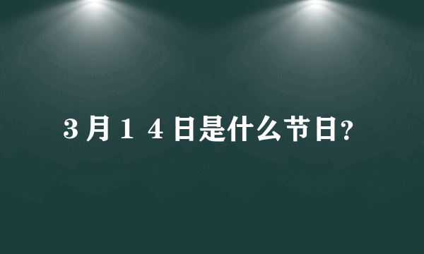 ３月１４日是什么节日？