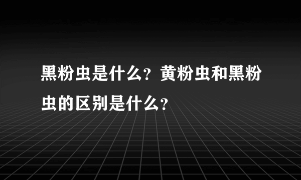 黑粉虫是什么？黄粉虫和黑粉虫的区别是什么？