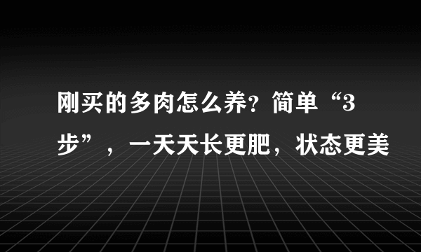 刚买的多肉怎么养？简单“3步”，一天天长更肥，状态更美