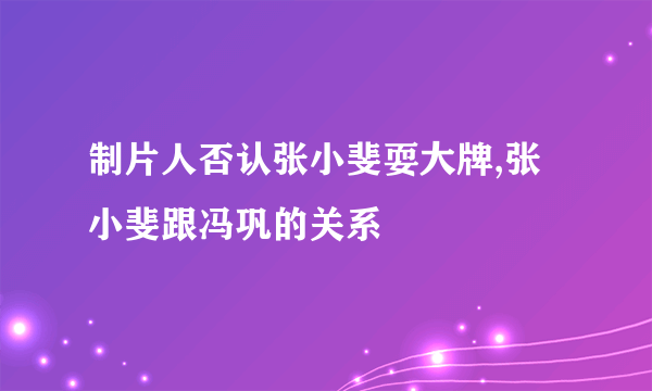 制片人否认张小斐耍大牌,张小斐跟冯巩的关系