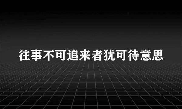 往事不可追来者犹可待意思