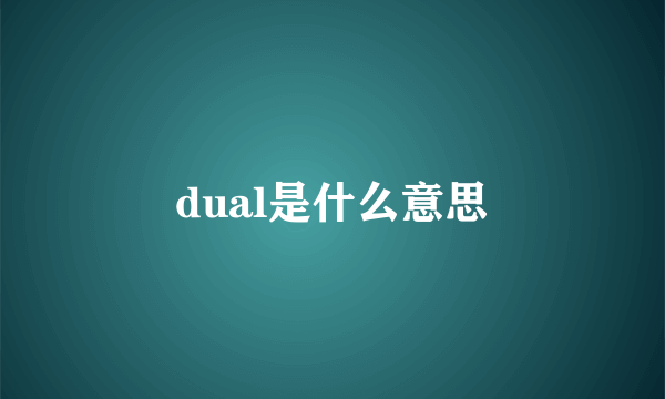dual是什么意思
