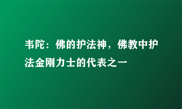 韦陀：佛的护法神，佛教中护法金刚力士的代表之一