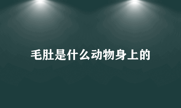 毛肚是什么动物身上的