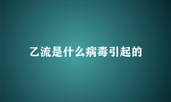 乙流是什么病毒引起的