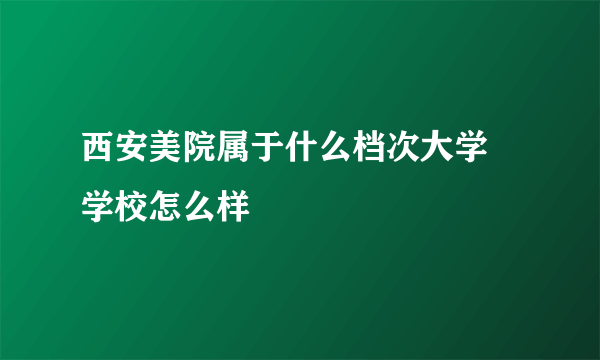 西安美院属于什么档次大学 学校怎么样