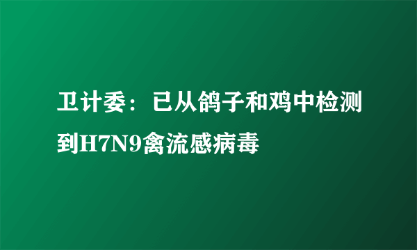 卫计委：已从鸽子和鸡中检测到H7N9禽流感病毒