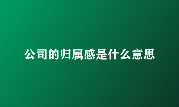 公司的归属感是什么意思