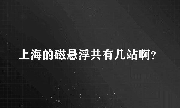 上海的磁悬浮共有几站啊？