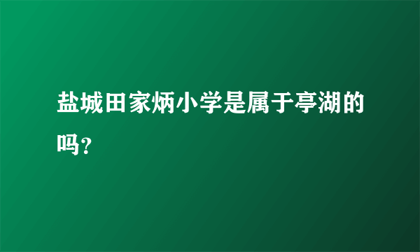 盐城田家炳小学是属于亭湖的吗？