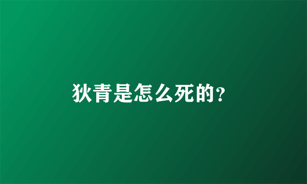 狄青是怎么死的？