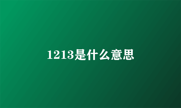 1213是什么意思