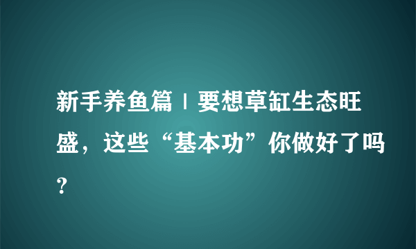 新手养鱼篇｜要想草缸生态旺盛，这些“基本功”你做好了吗？