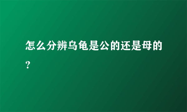 怎么分辨乌龟是公的还是母的？