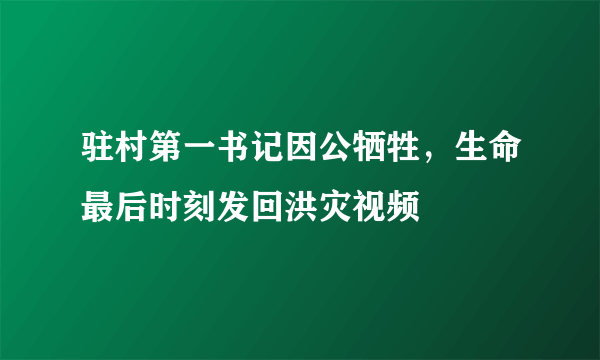 驻村第一书记因公牺牲，生命最后时刻发回洪灾视频