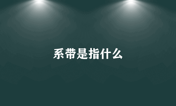 系带是指什么