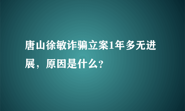 唐山徐敏诈骗立案1年多无进展，原因是什么？