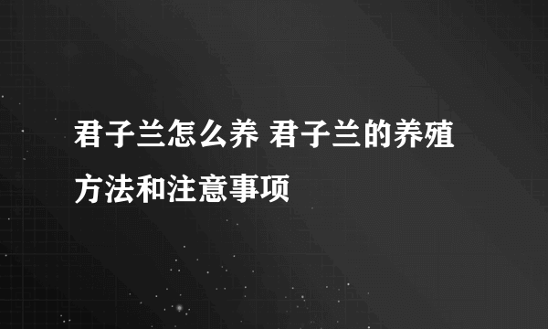 君子兰怎么养 君子兰的养殖方法和注意事项