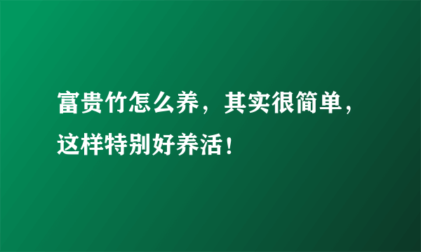 富贵竹怎么养，其实很简单，这样特别好养活！