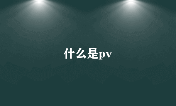 什么是pv