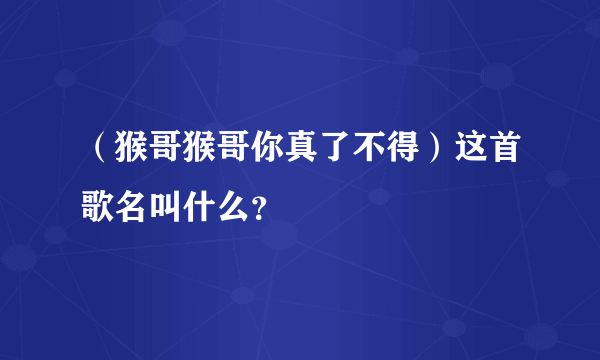 （猴哥猴哥你真了不得）这首歌名叫什么？