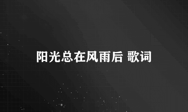 阳光总在风雨后 歌词