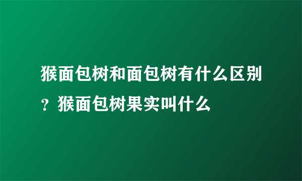 猴面包树和面包树有什么区别？猴面包树果实叫什么