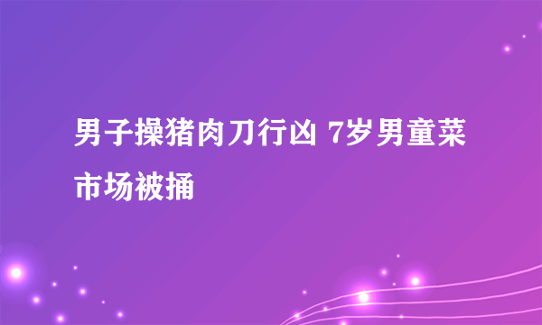 男子操猪肉刀行凶 7岁男童菜市场被捅