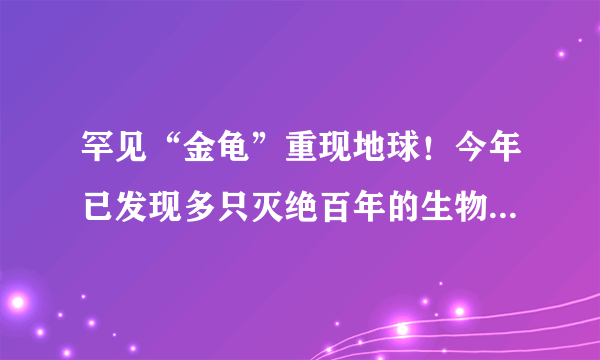 罕见“金龟”重现地球！今年已发现多只灭绝百年的生物为何重现？