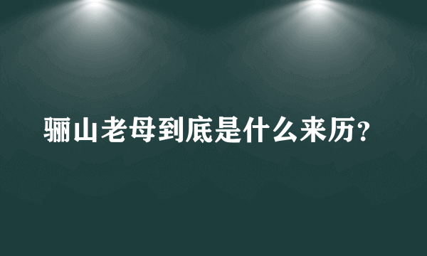 骊山老母到底是什么来历？