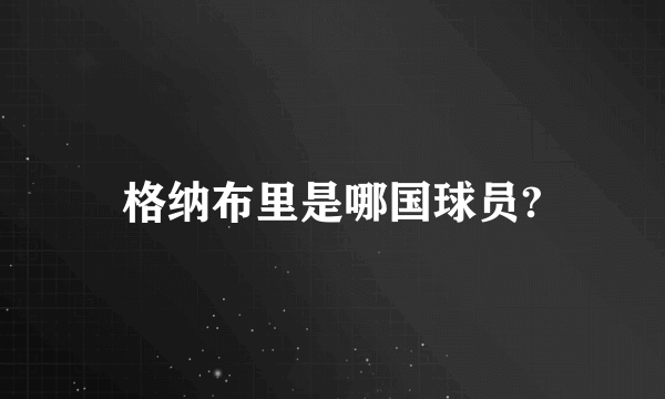 格纳布里是哪国球员?