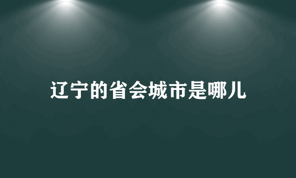 辽宁的省会城市是哪儿