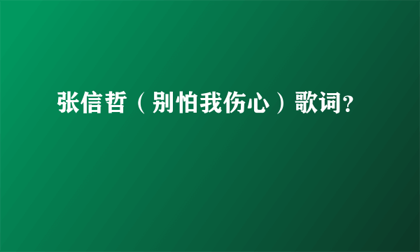 张信哲（别怕我伤心）歌词？