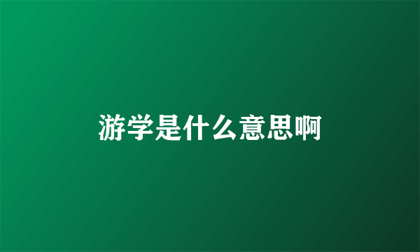 游学是什么意思啊