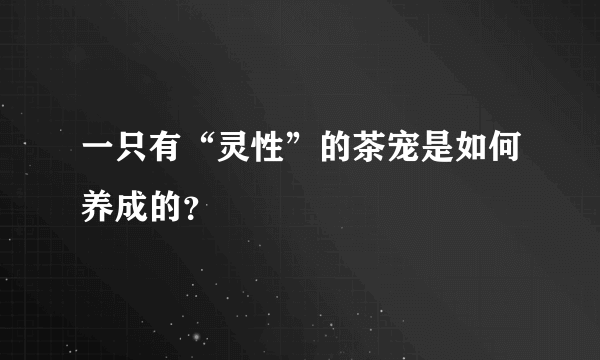 一只有“灵性”的茶宠是如何养成的？