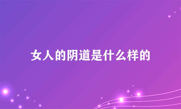 女人的阴道是什么样的