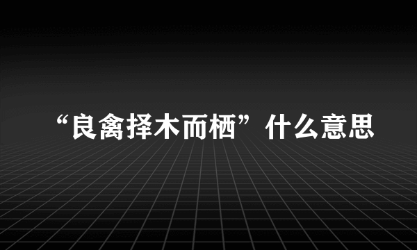 “良禽择木而栖”什么意思