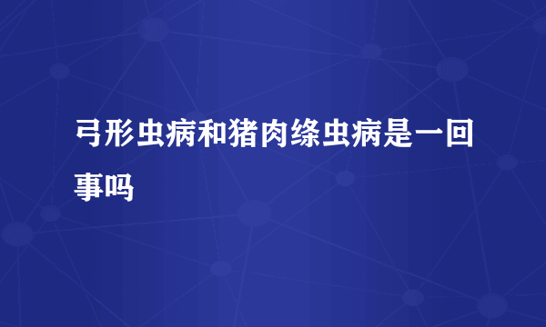 弓形虫病和猪肉绦虫病是一回事吗