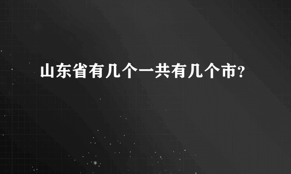 山东省有几个一共有几个市？