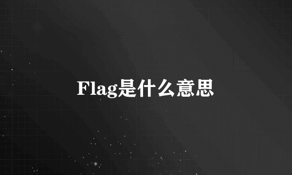 Flag是什么意思