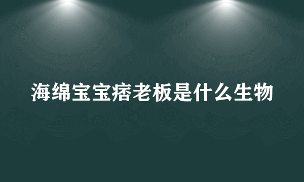 海绵宝宝痞老板是什么生物