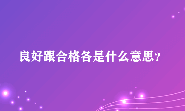 良好跟合格各是什么意思？