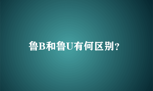 鲁B和鲁U有何区别？