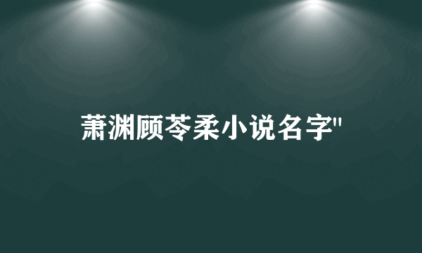 萧渊顾苓柔小说名字