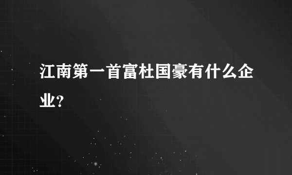 江南第一首富杜国豪有什么企业？