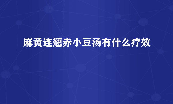 麻黄连翘赤小豆汤有什么疗效