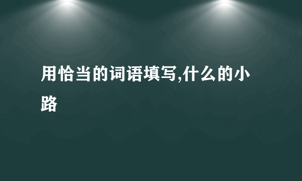 用恰当的词语填写,什么的小路