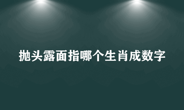 抛头露面指哪个生肖成数字